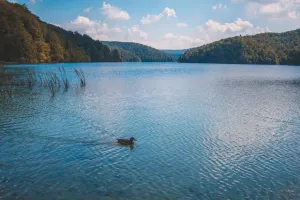Regeneracja po intensywnym sezonie – Mazury jako azyl dla zmęczonych 